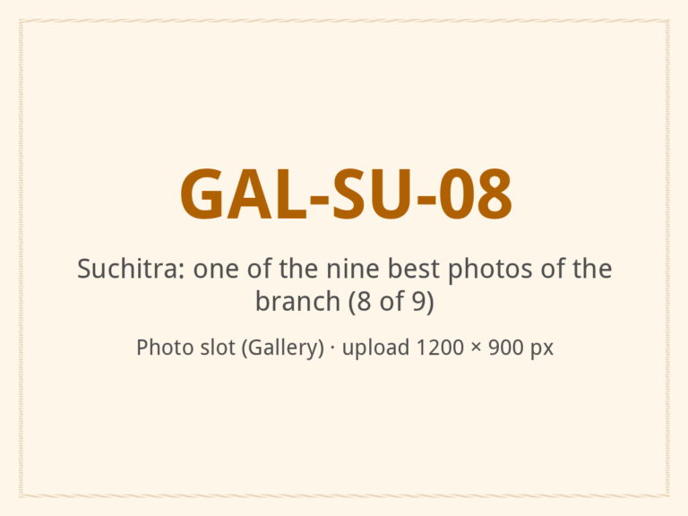 [ALT: Describe this photo of the branch, Vitali Wellness & Spa, Suchitra]