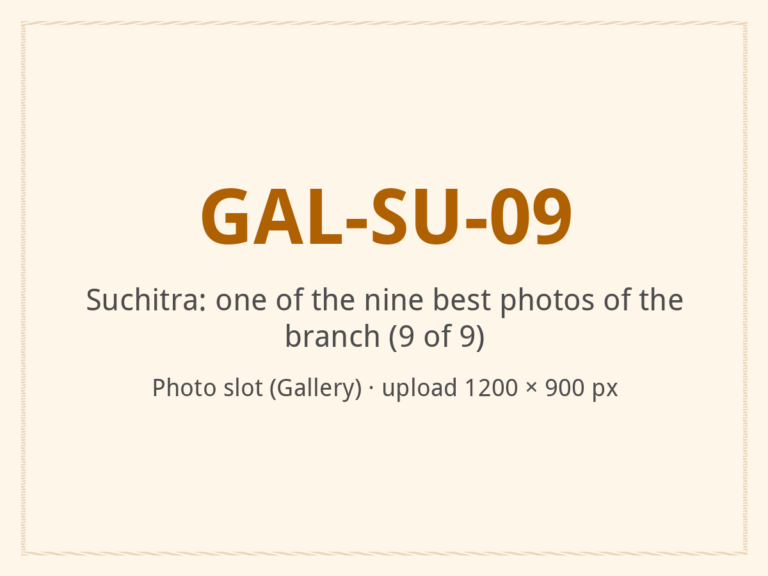 [ALT: Describe this photo of the branch, Vitali Wellness & Spa, Suchitra]