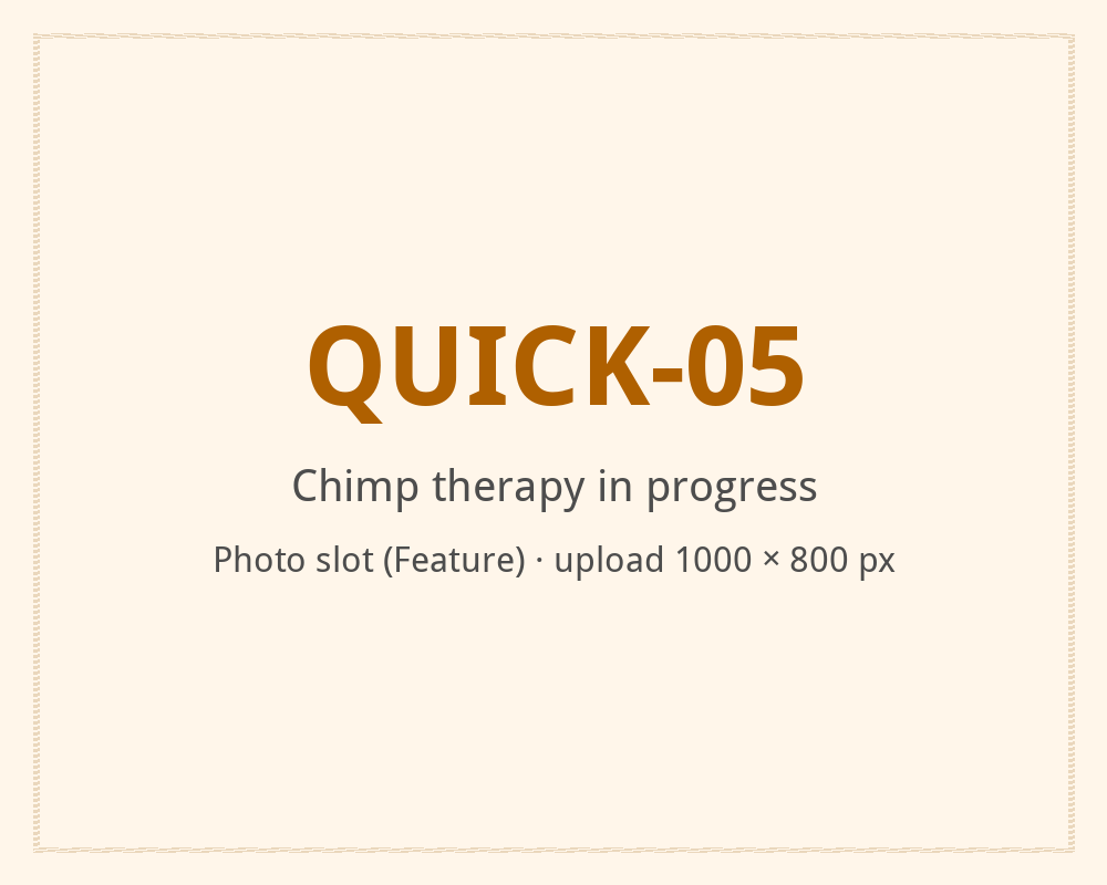 [ALT: Chimp therapy in progress, Vitali Wellness & Spa]